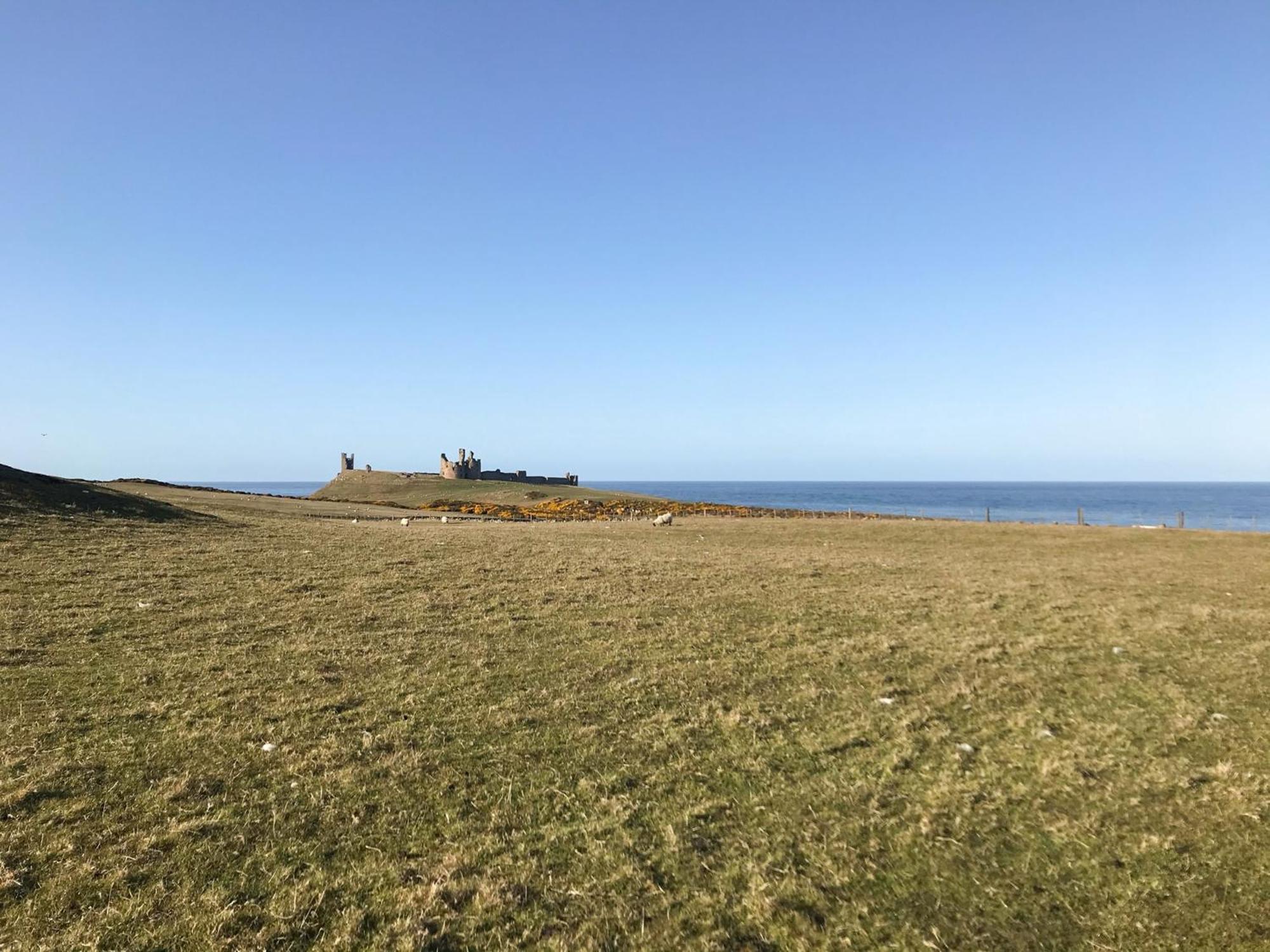 Lilac Cottage Dunstan Craster Εξωτερικό φωτογραφία